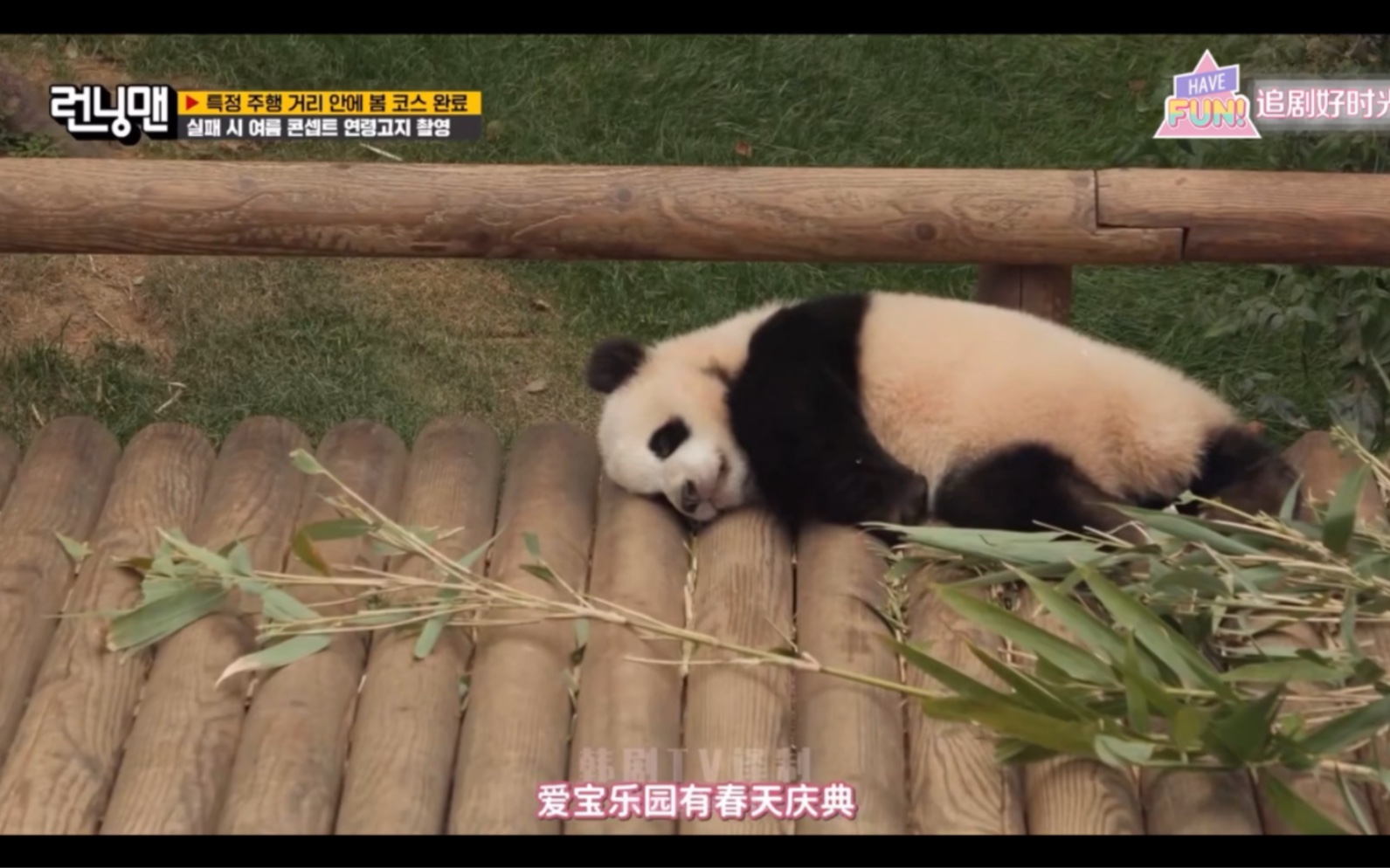 终于running man要去爱宝乐园了吗?