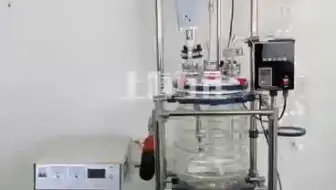 20L超声波双层玻璃反应釜