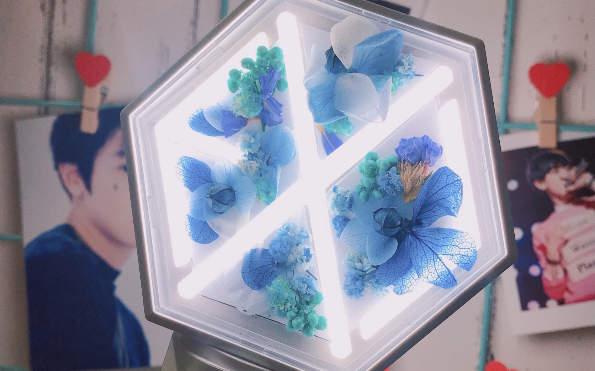 【exo】爱丽棒装饰/干花装饰/三代爱丽棒