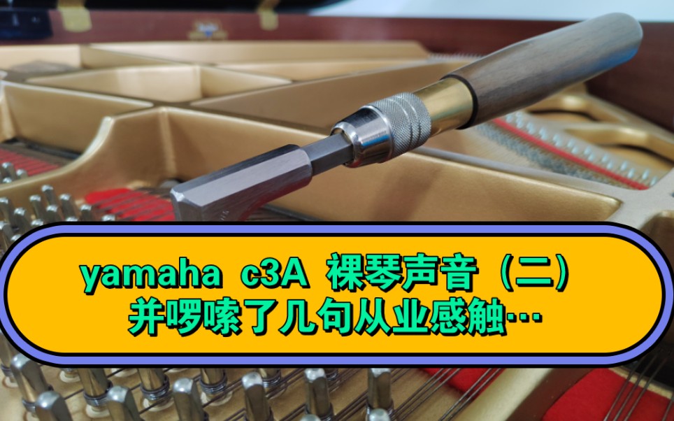 yamaha雅马哈三角钢琴c3A,原始状态裸琴声音分享,裸琴实拍(二),并啰嗦了几句这么多年从业的感触…不想忘初心,感谢支持…哔哩哔哩bilibili