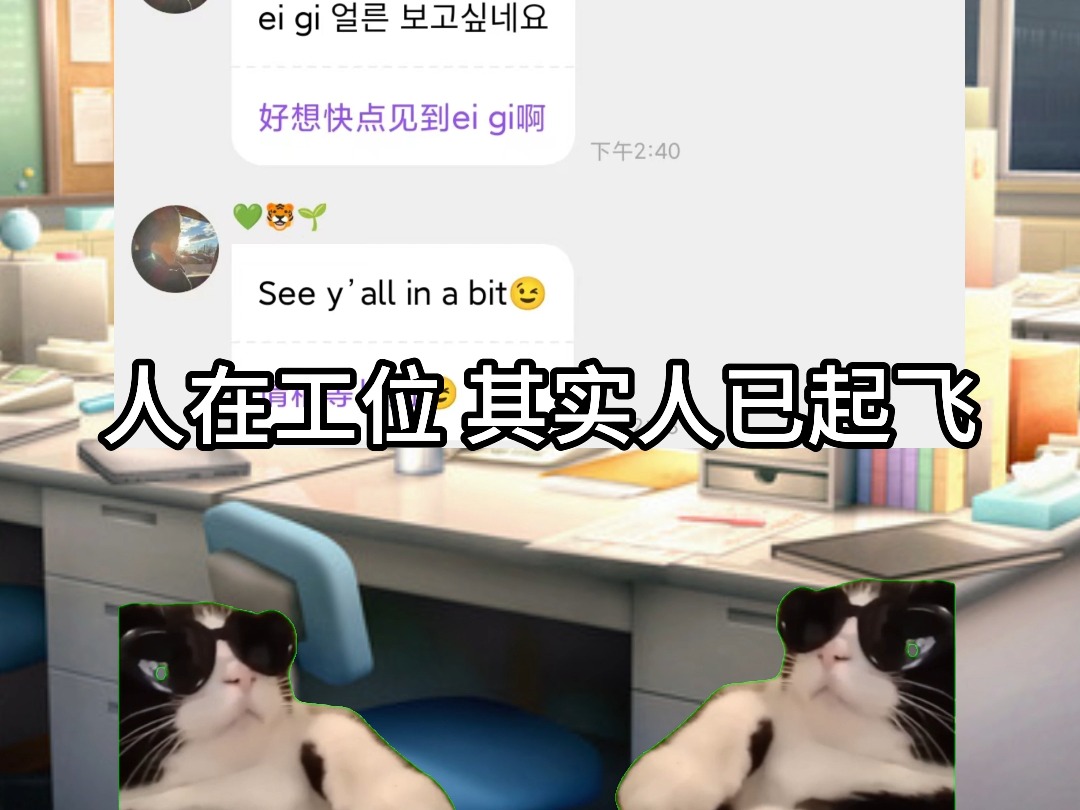 【77YY】用猫meme打开地租妈的首尔梦秀之旅哔哩哔哩bilibili