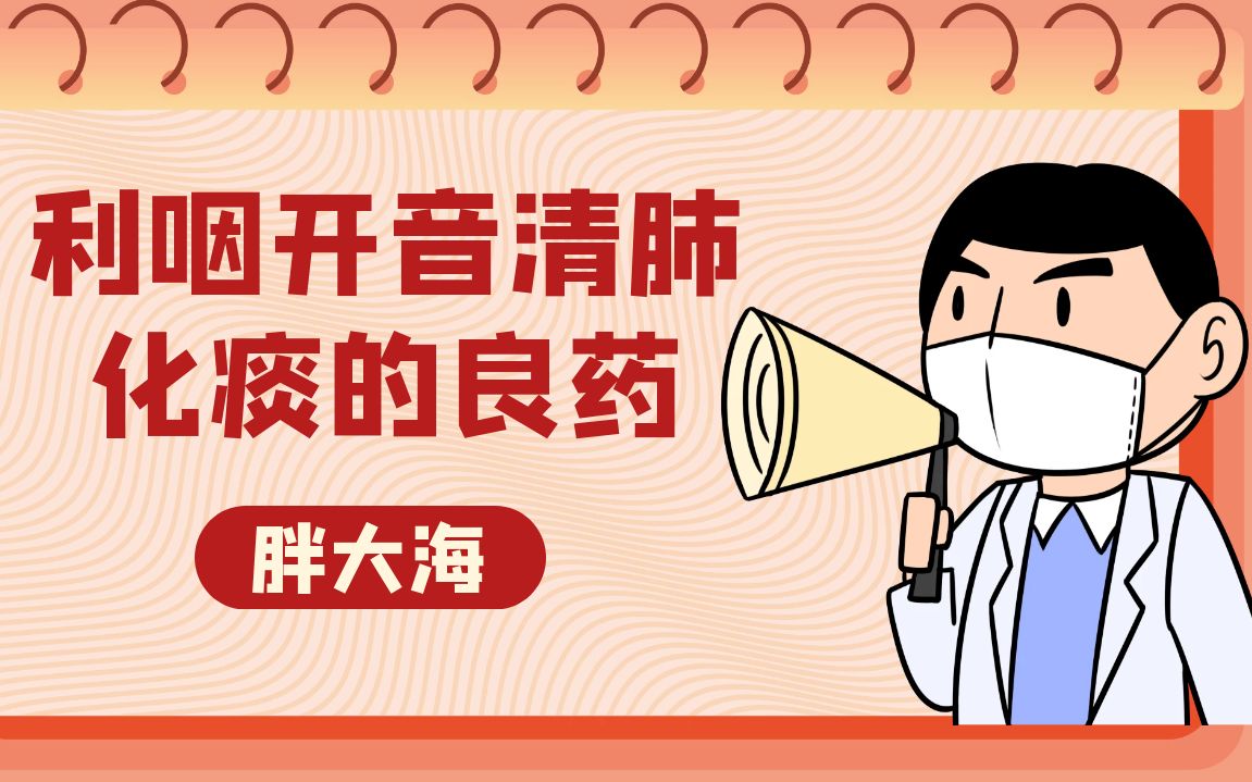 利咽开音清肺化痰的良药,胖大海的作用与疗效,可用来泡水喝哔哩哔哩bilibili