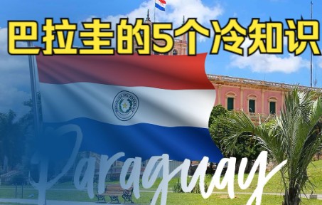 【中西字幕】“女儿国”巴拉圭(Paraguay)的五个冷知识.巴拉圭的马黛茶有什么与众不同?巴拉圭名字来源...跟着视频来了解巴拉圭吧~哔哩哔哩bilibili