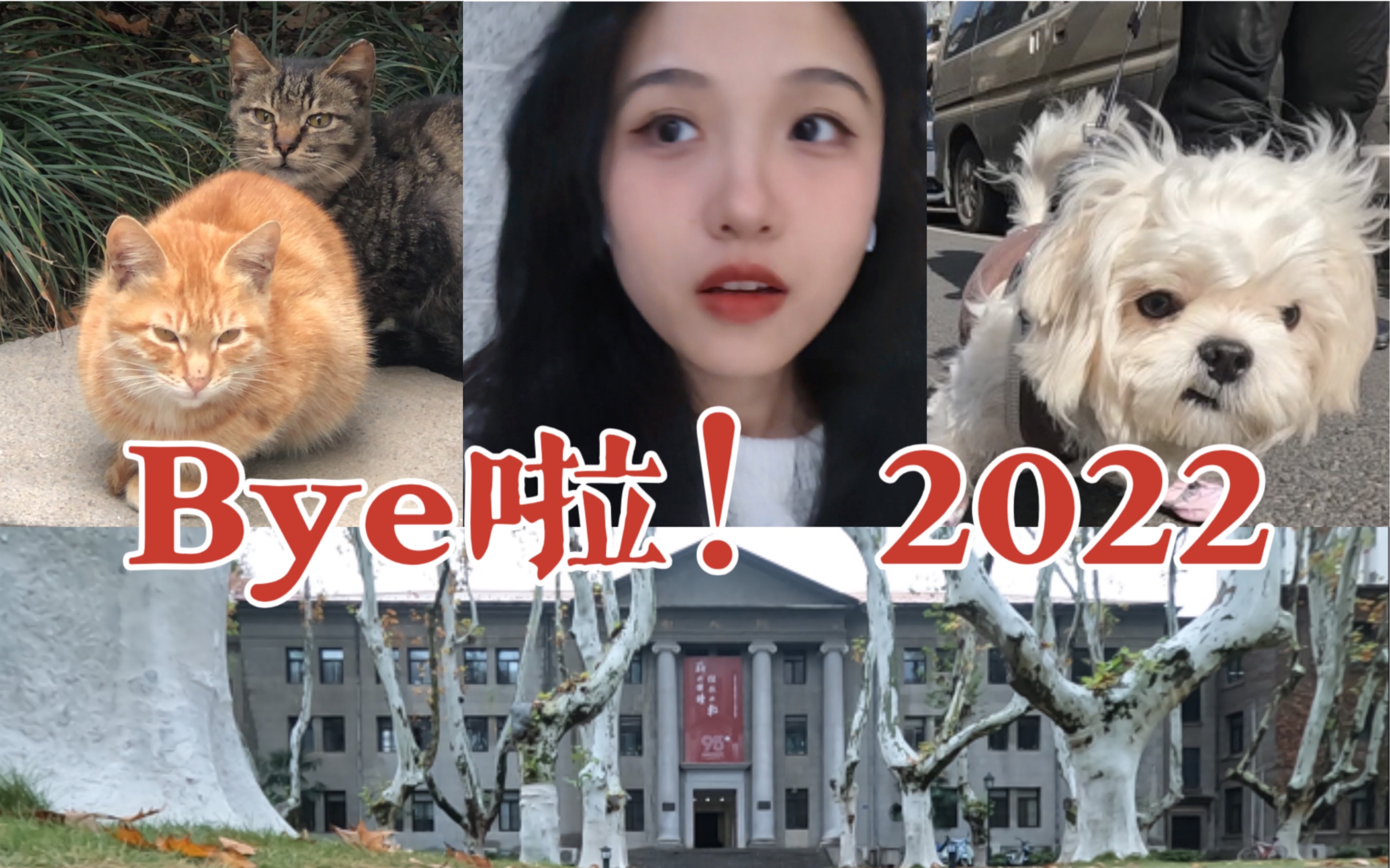 [图]【VLOG09|东大读研周记】Accio，2023！（一起跨年吧！