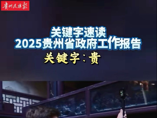 聚焦省两会 | 速读2025贵州省政府工作报告 关键字:贵 (制作:余仙仙)哔哩哔哩bilibili