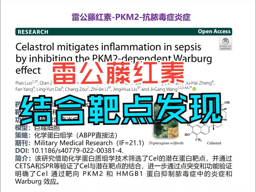 Military Medical Research雷公藤红素结合靶点发现哔哩哔哩bilibili