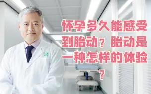 Download Video: 【段涛大夫】怀孕多久能感受到胎动？胎动是一种怎样的体验？