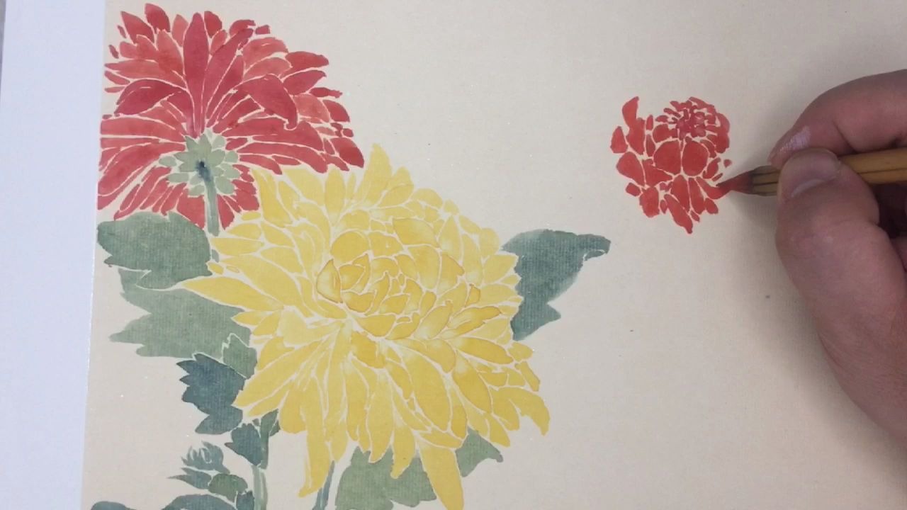 【国画】没骨菊花的绘制过程