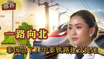 Télécharger la video: 泰国急了！中老铁路运行1000天，成绩斐然，中泰铁路建设加速