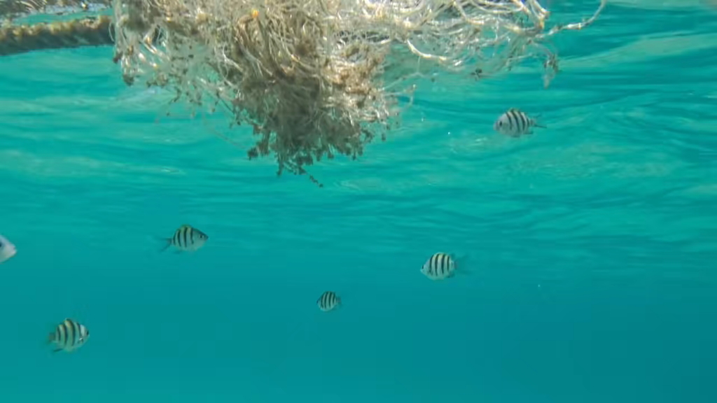 三亚亚龙湾潜水