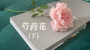 花花 树脂粘土花教程 芍药花 上 哔哩哔哩 つロ干杯 Bilibili