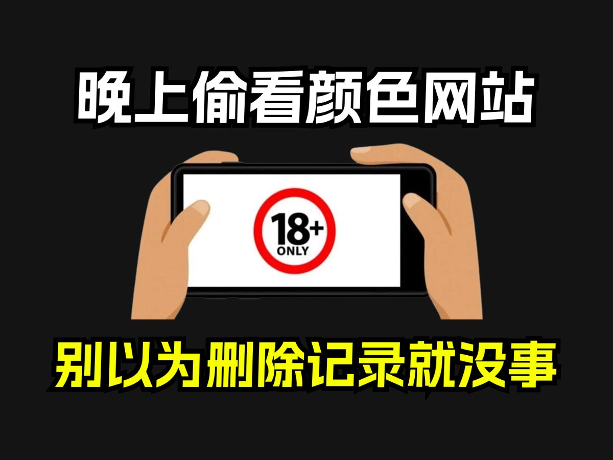 晚上被窝里偷看颜色网站,你以为删除记录就没事?3个危害很严重哔哩哔哩bilibili