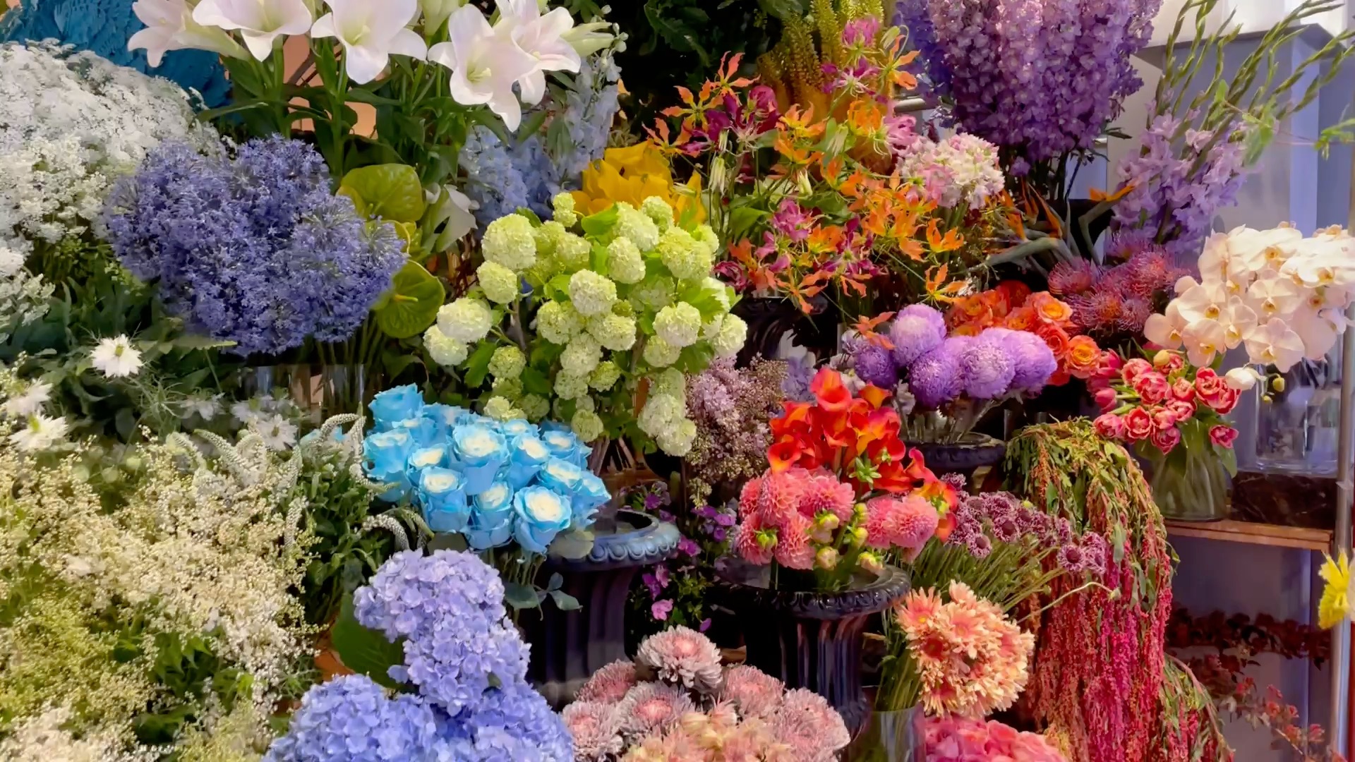 野兽派鲜花陈列