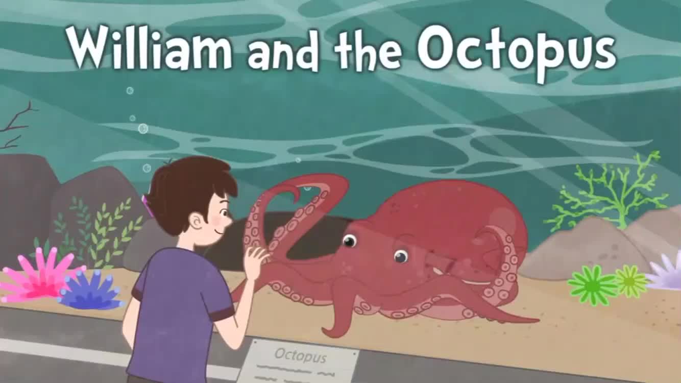 [图]02 William and Octopus 威廉与章鱼