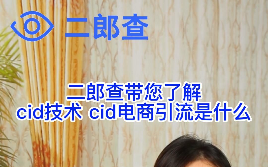 二郎查cid技术、cid电商引流是什么哔哩哔哩bilibili