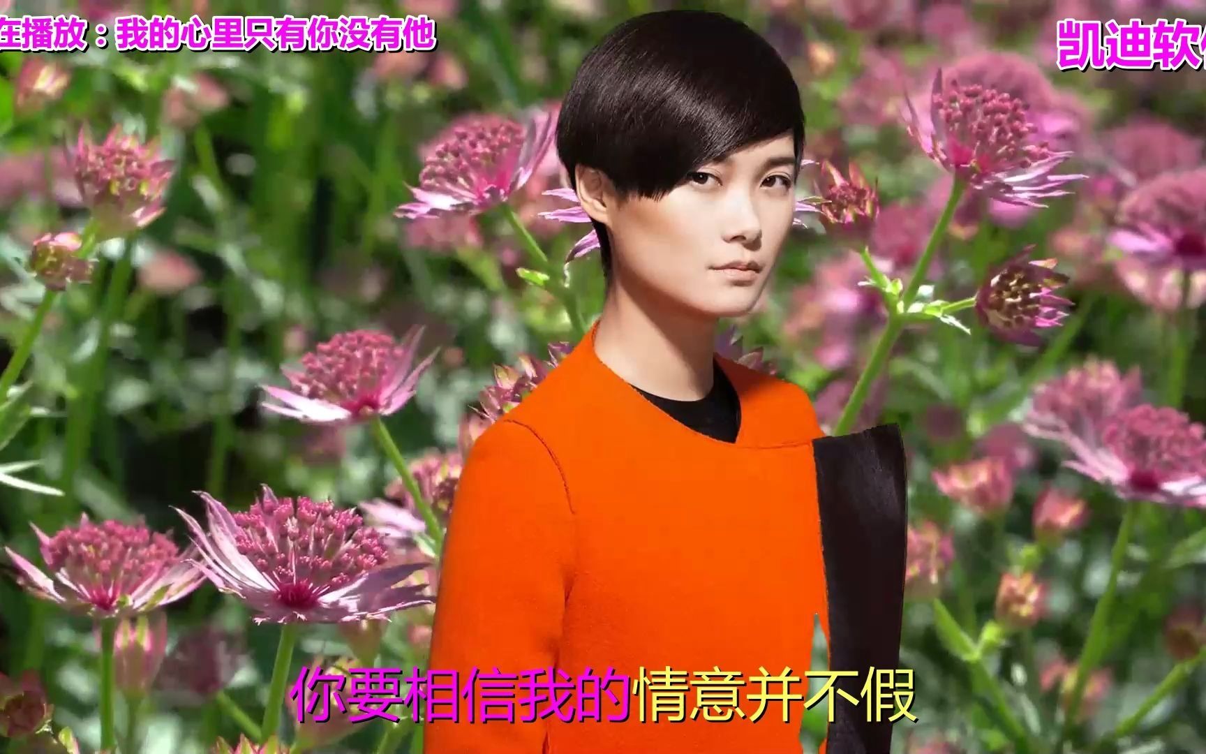 经典老歌50首金曲联播我的心里只有你没有他