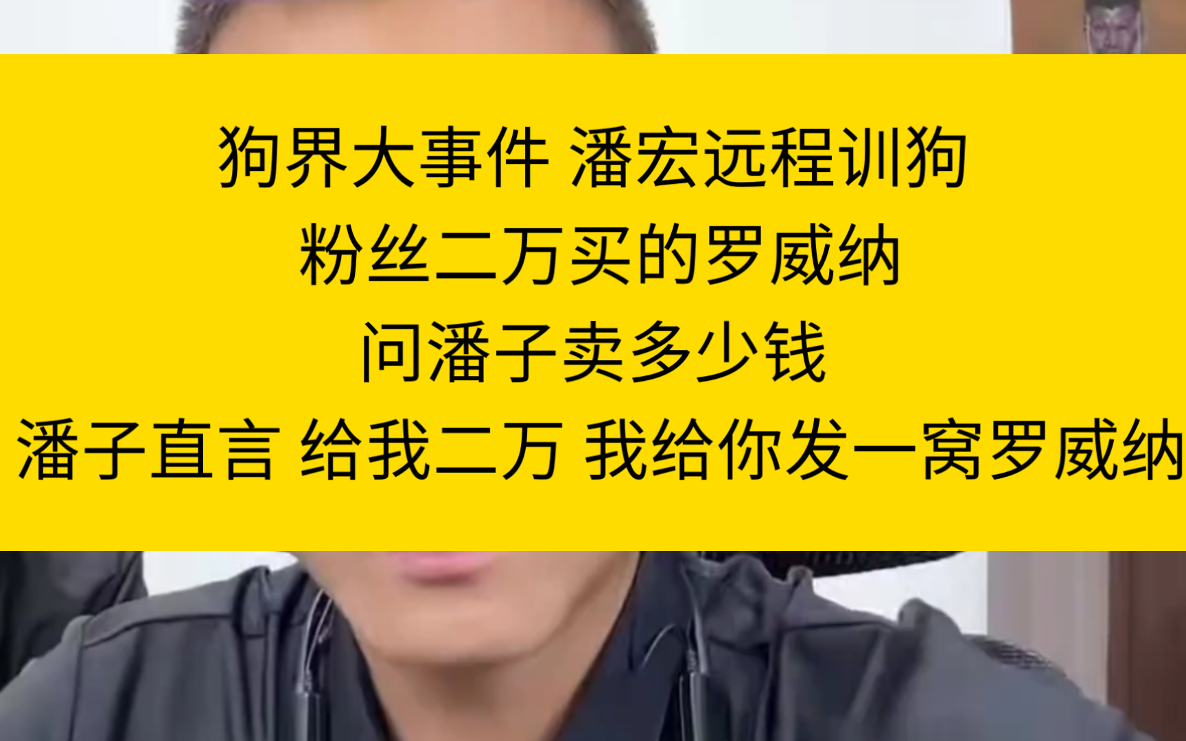 狗界大事件 潘宏远程训狗 粉丝二万买的罗威纳问潘子卖多少钱 潘子直言 给我二万 我给你发一窝罗威纳哔哩哔哩bilibili