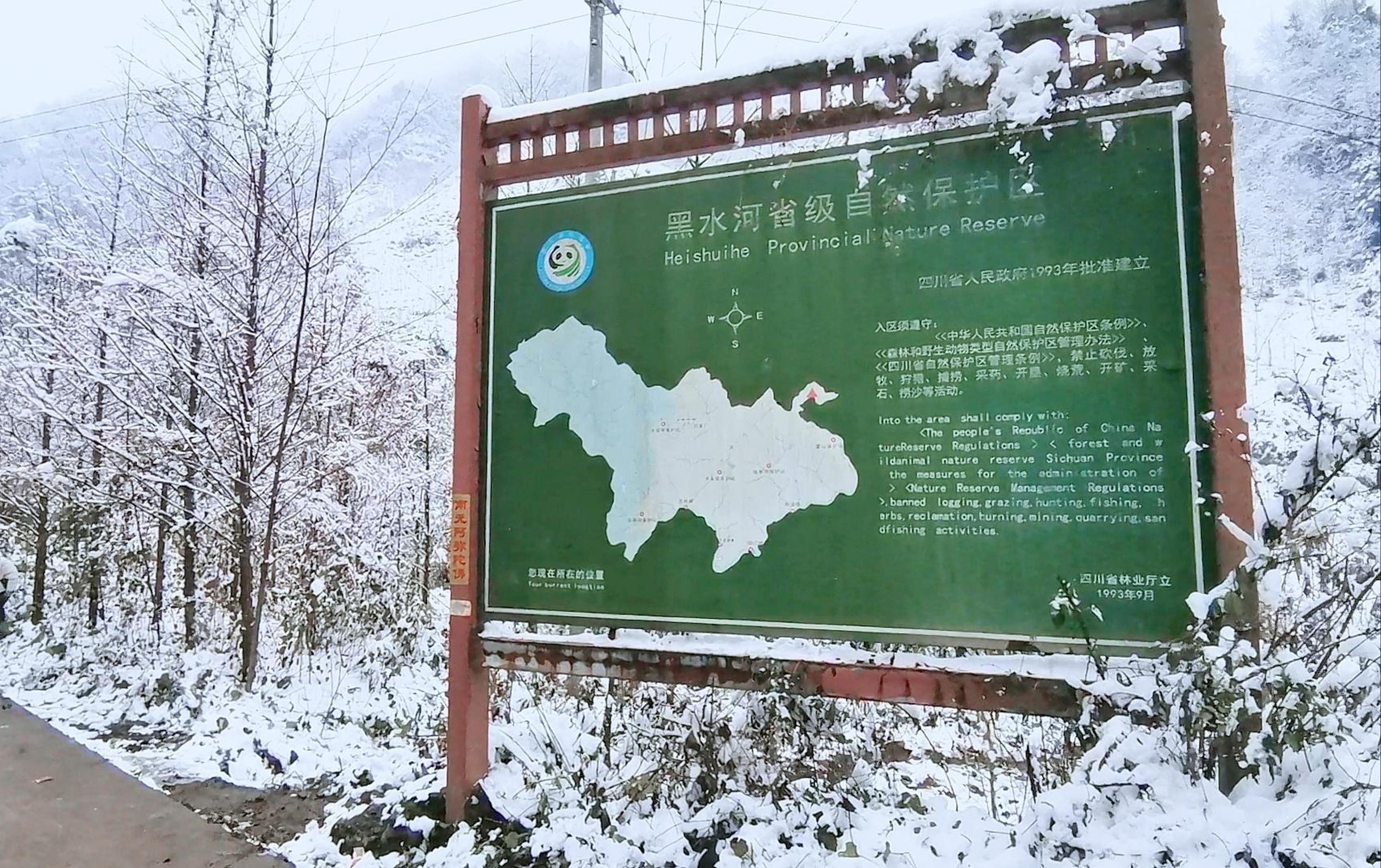 大邑县雾山图片