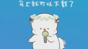 【可爱龙猫四毛】新一弹四毛来啦!哔哩哔哩bilibili