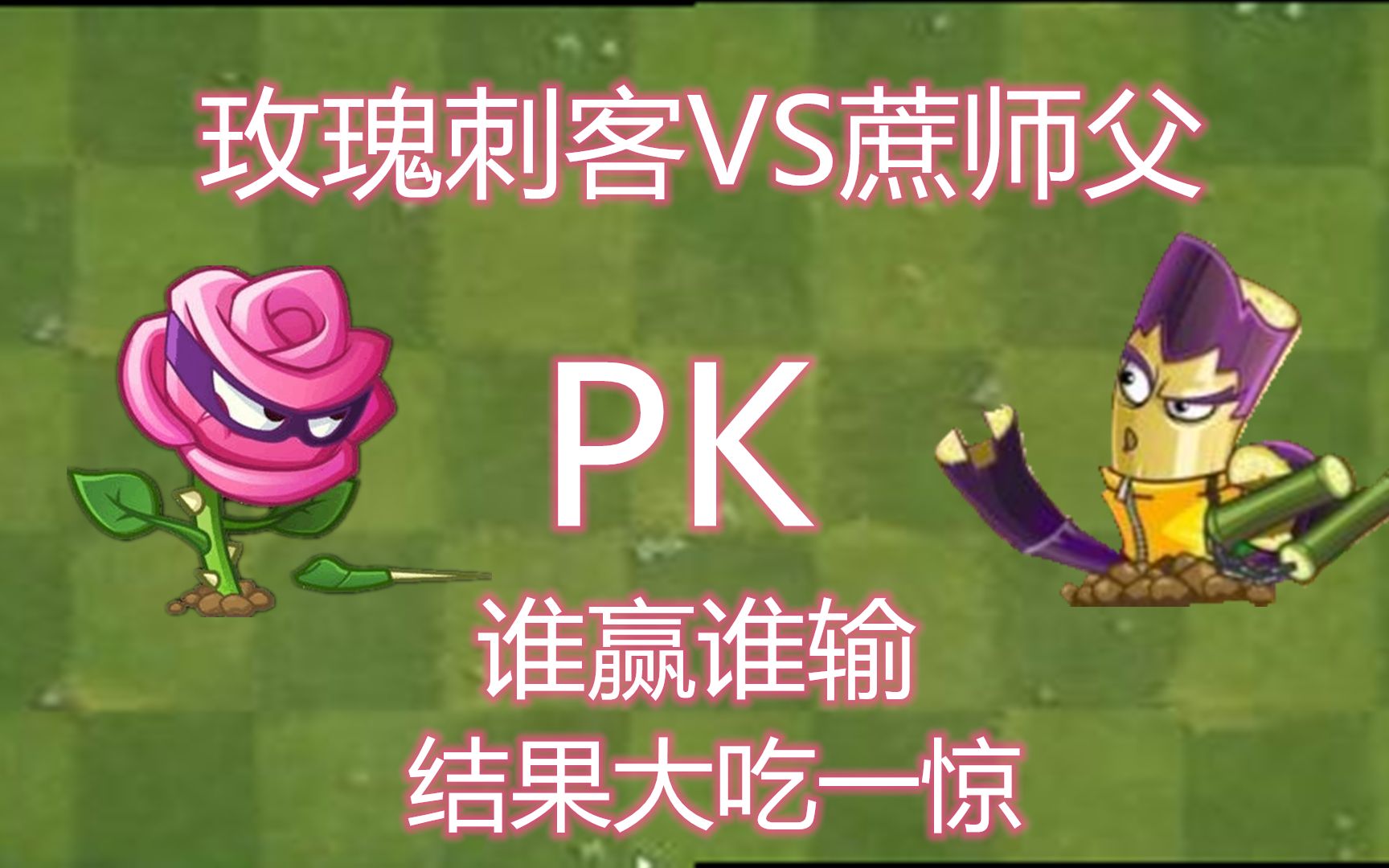 玫瑰刺客vs蔗师父,谁赢谁输_哔哩哔哩 (゜-゜)つロ 干杯~-bilibili