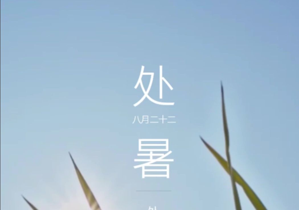 处暑|盛夏终章,蝉鸣渐稀~哔哩哔哩bilibili