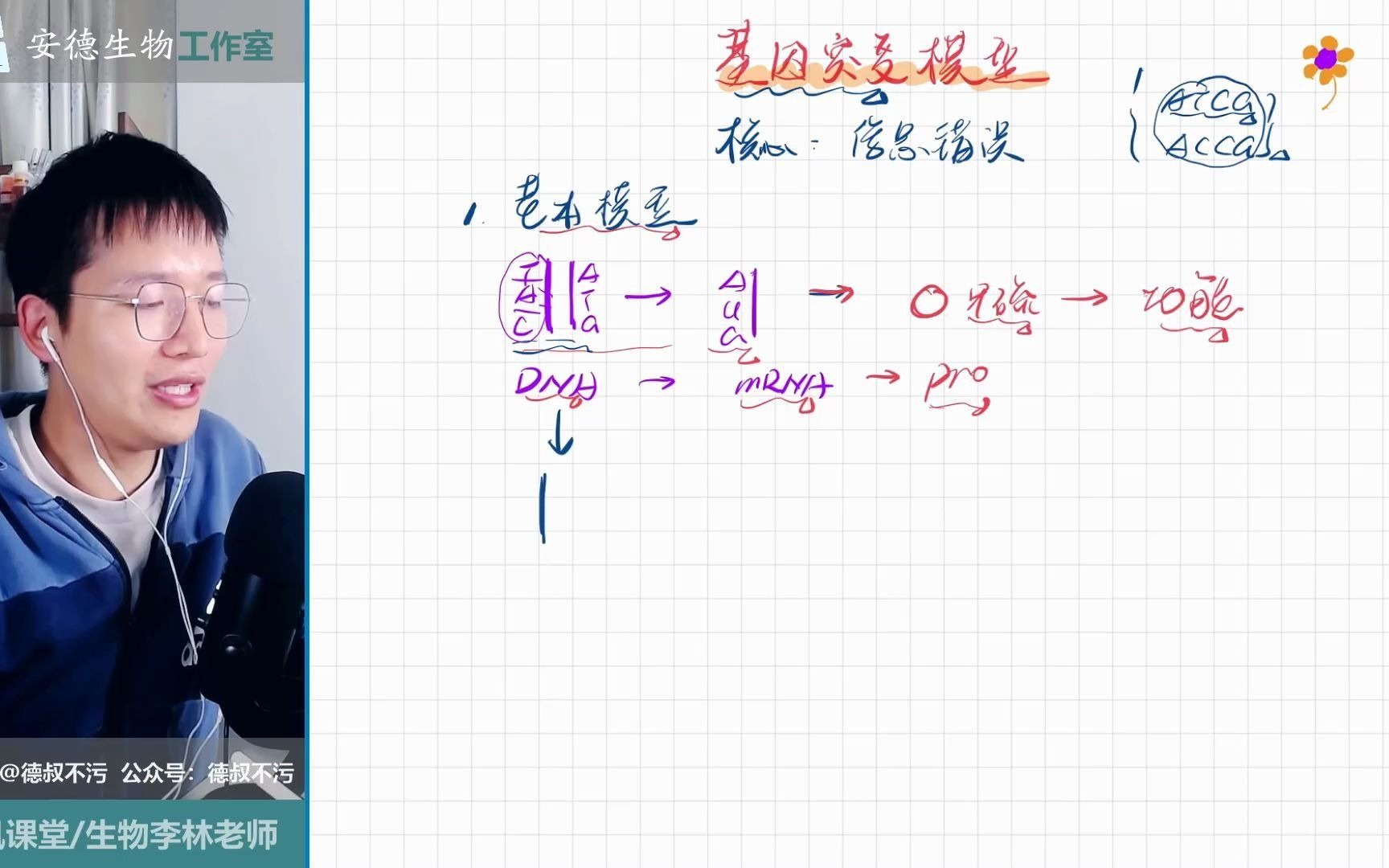 [图]德叔生物模型（6）：基因突变模型（沉默突变/错义/无义/移码突变/性状不变原理/特点）