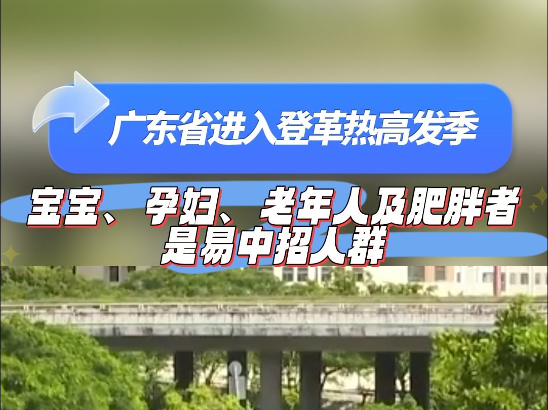 广东省进入登革热高发季! 宝宝、孕妇、老年人及肥胖者是易中招人群!哔哩哔哩bilibili