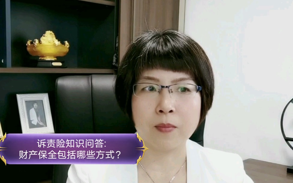 诉责险知识问答:财产保全包括哪些方式?哔哩哔哩bilibili