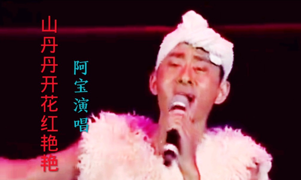 歌曲《山丹丹开花红艳艳》阿宝演唱