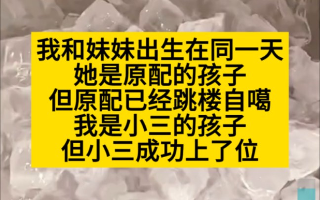 我和妹妹同一天出生,她是跳楼原配的孩子,我是小仨的孩子,小说推荐哔哩哔哩bilibili