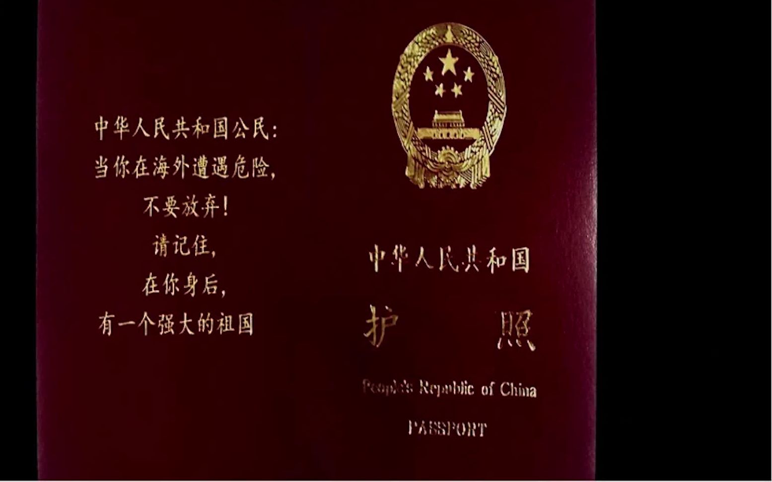 活动作品海川木杉战狼2看一下作为一个中国人是多么自豪的一件事10