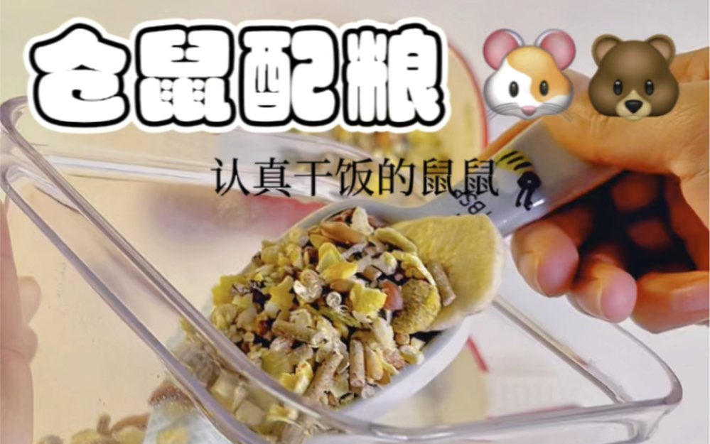 仓鼠 | 通心粉鼠配粮(库存)