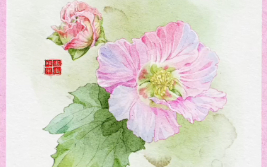 水彩自习室96-木芙蓉