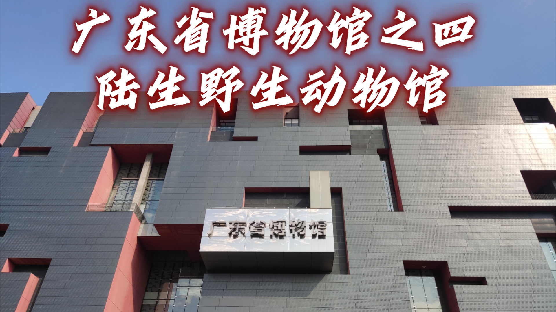 广东省博物馆之四:陆生野生动物馆