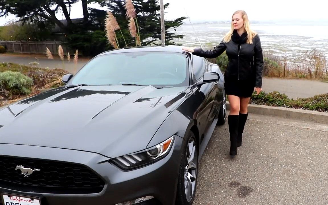 asmr助眠gentlewhispering野马mustangasmrsoftspokenlofi