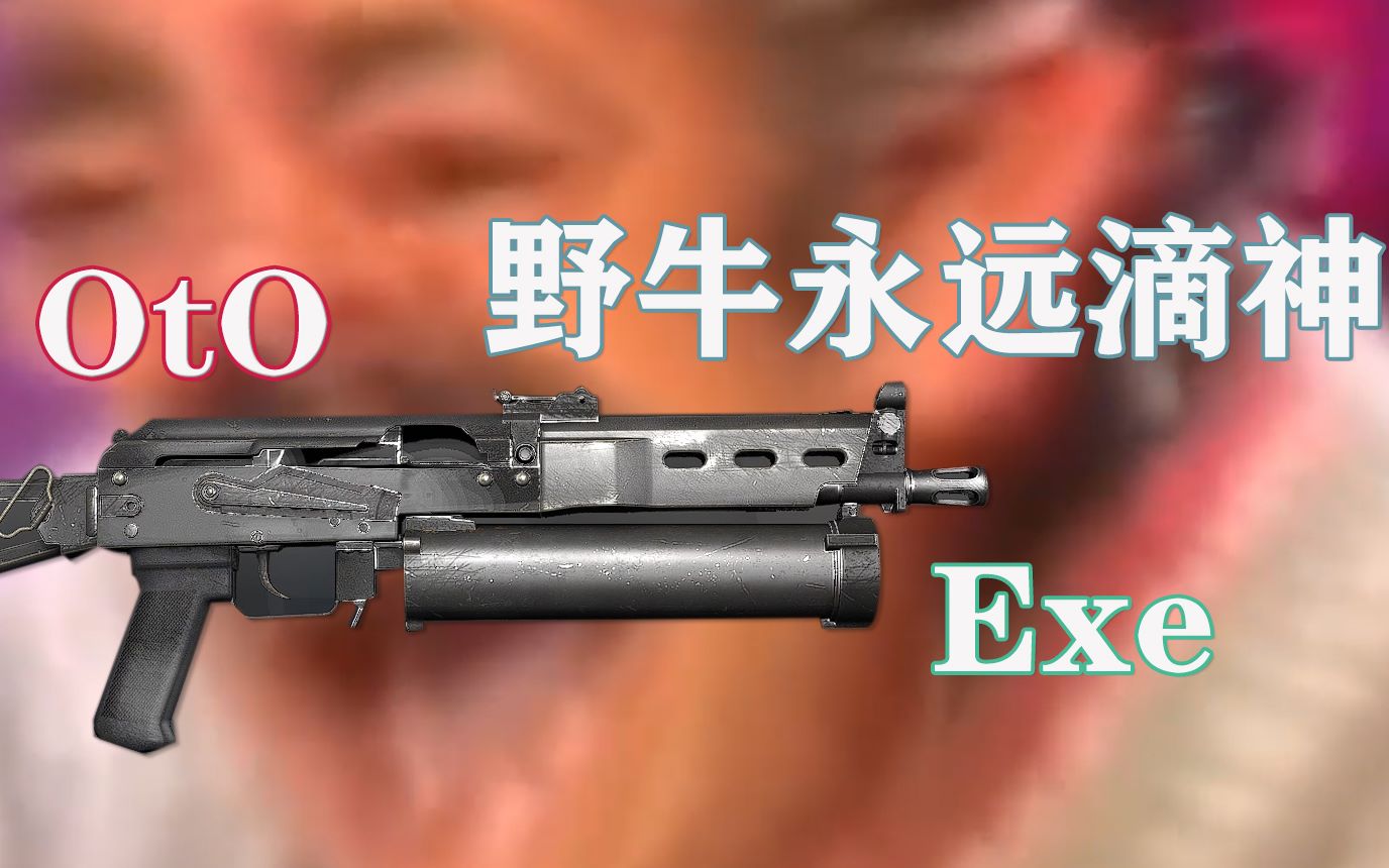 csgo臭恶的野牛.exe
