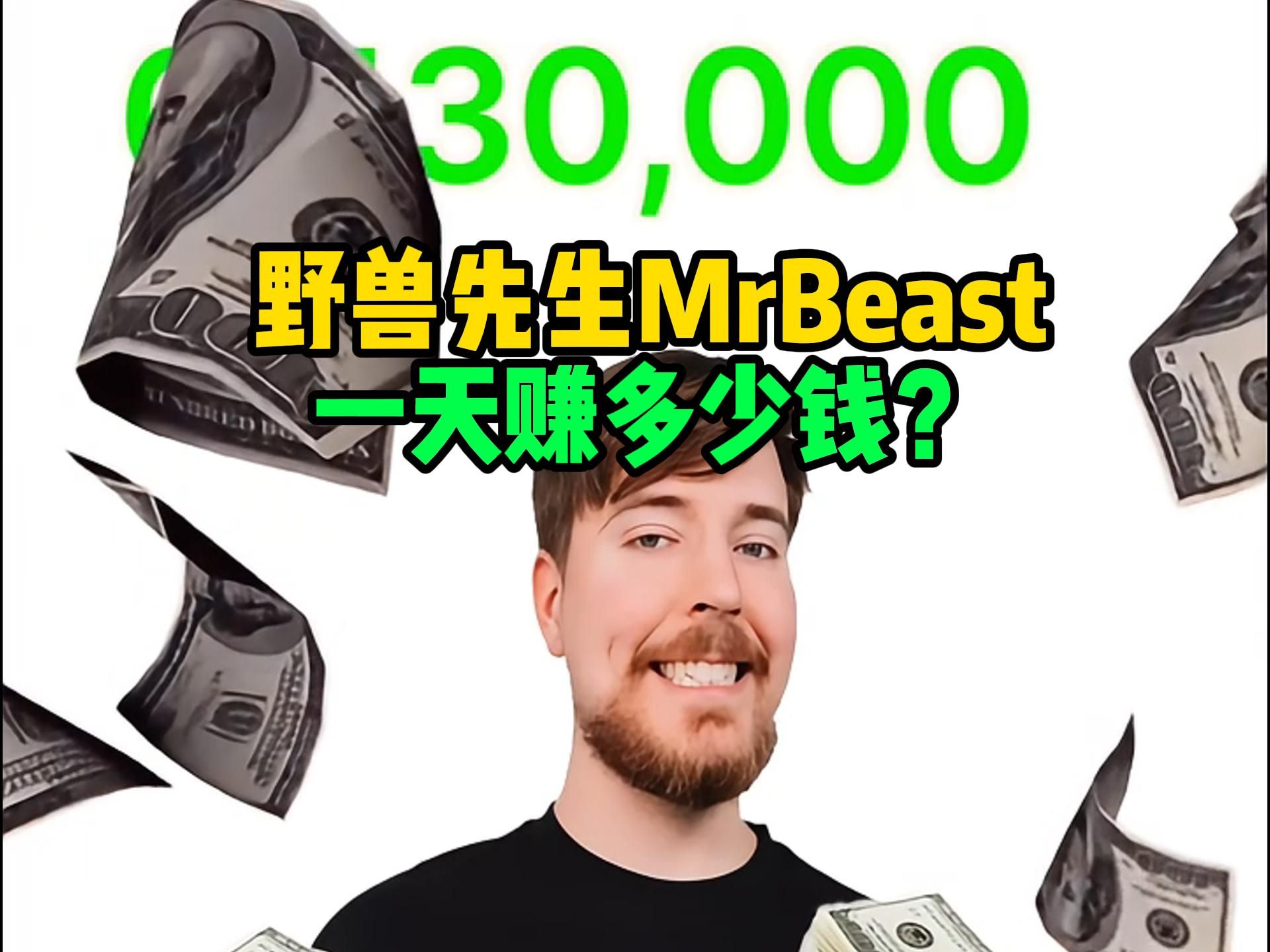 MrBeast赚了多少钱?【收入揭秘09】哔哩哔哩bilibili