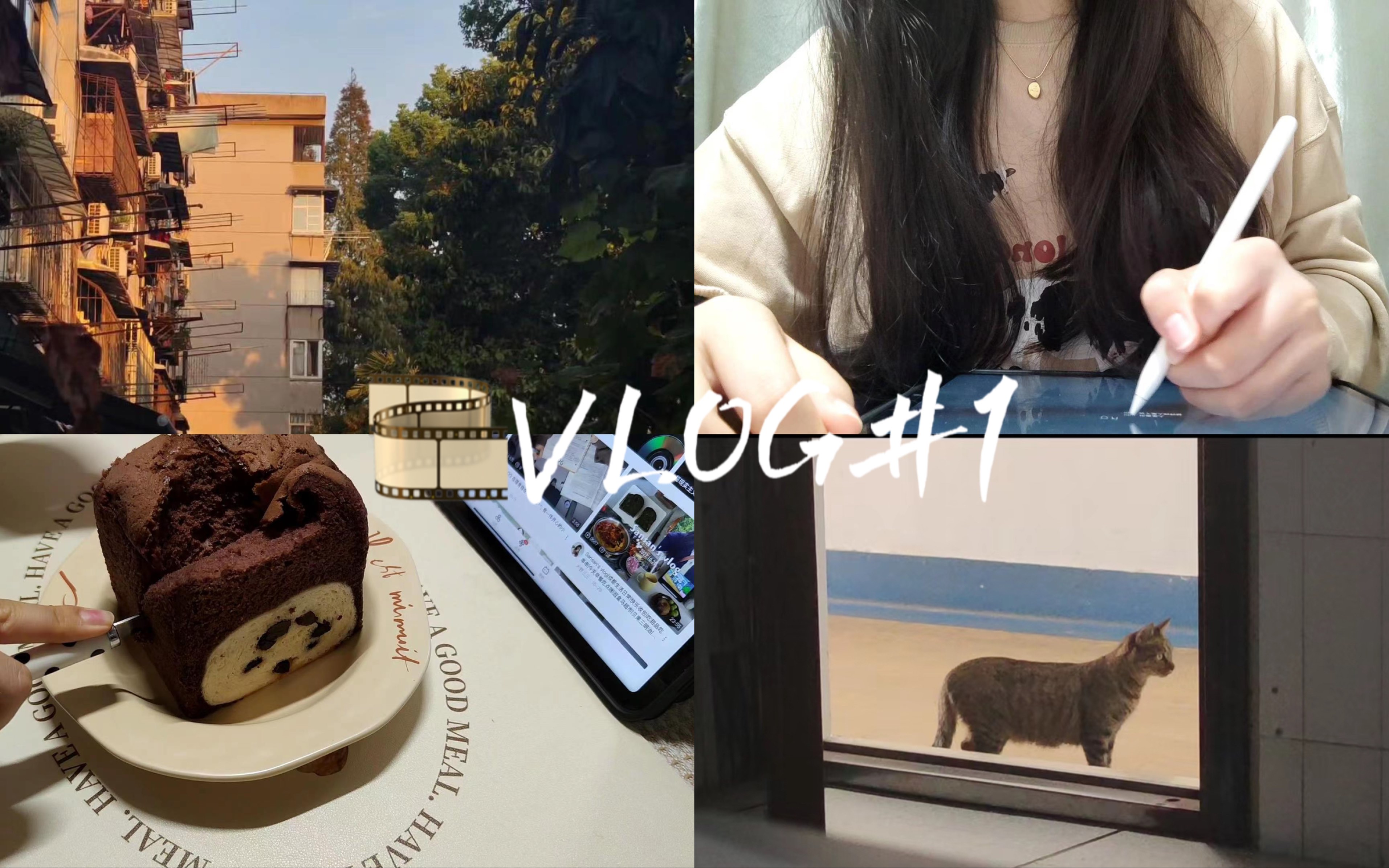 [图]VLOG#1-《红豆生活指南》-女大学生上学只想摆烂记*略不略不略不略*