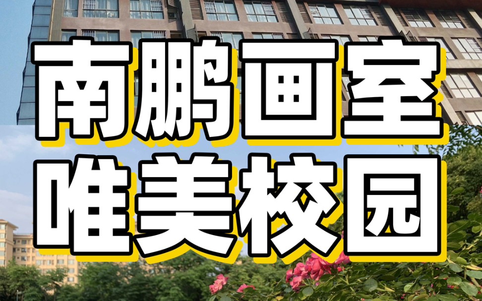 成都南鹏画室-唯美校园