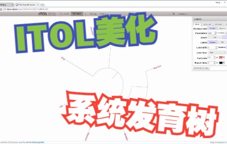 【系统发育树构建】10itol系统发育树美化哔哩哔哩bilibili