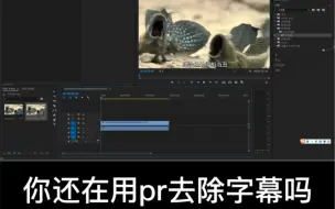 Video herunterladen: 不要再用pr中间值去字幕了