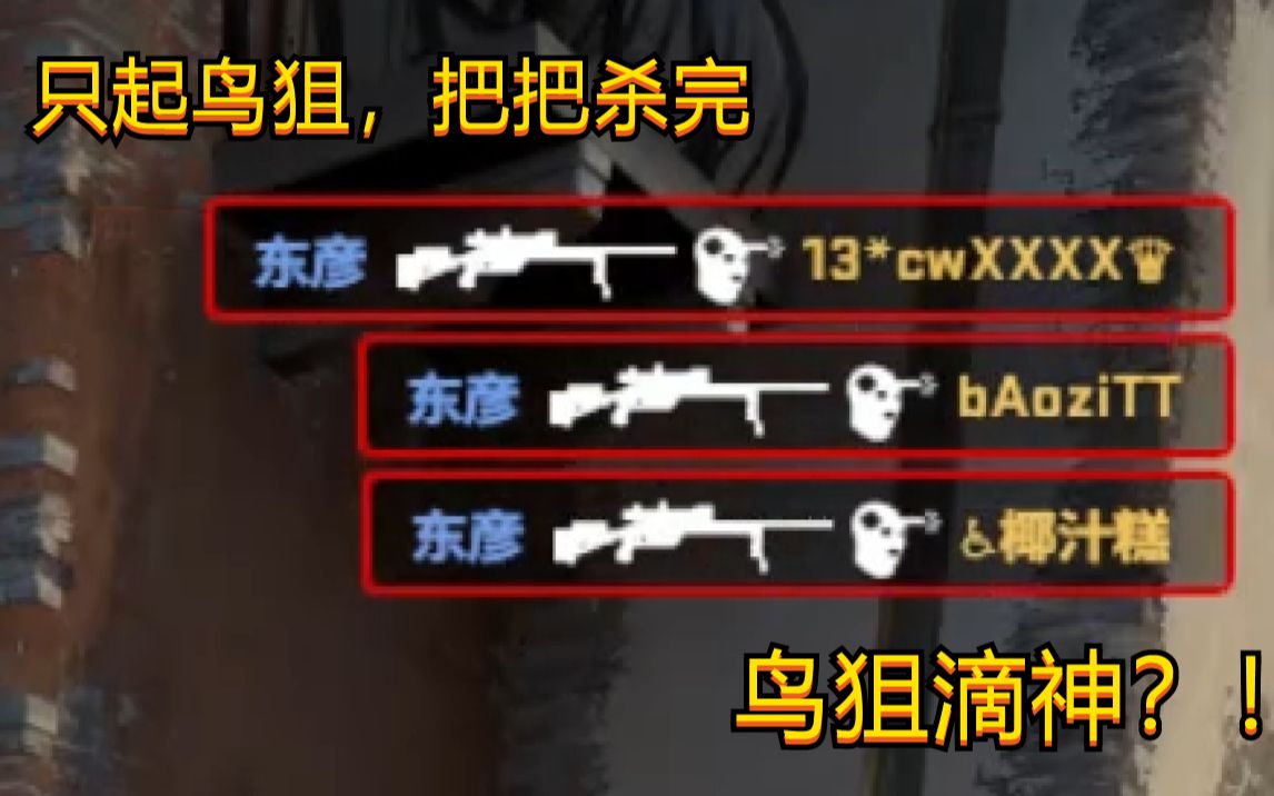 当你有一个只起鸟狙却能把把杀完的队友是什么体验【经济白洞】_哔哩哔哩_bilibili