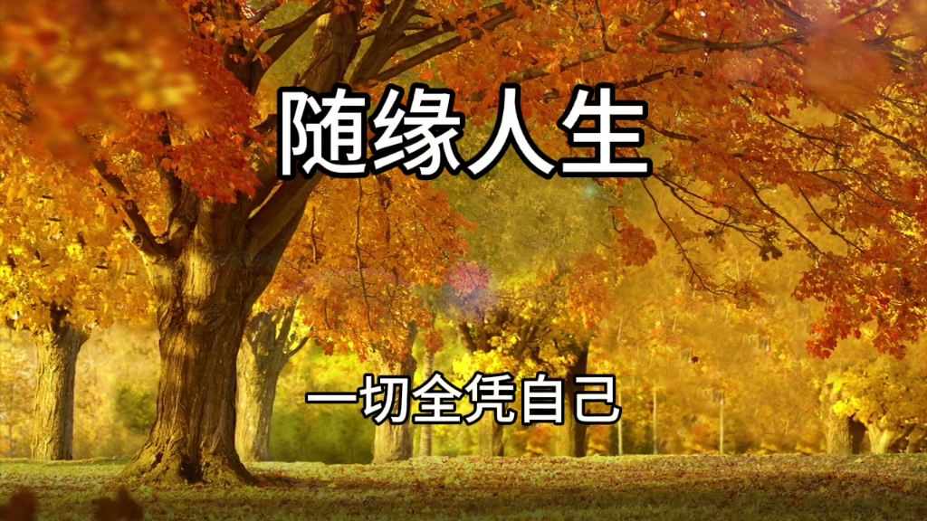 人生感悟《随缘人生》 诵读 阳光