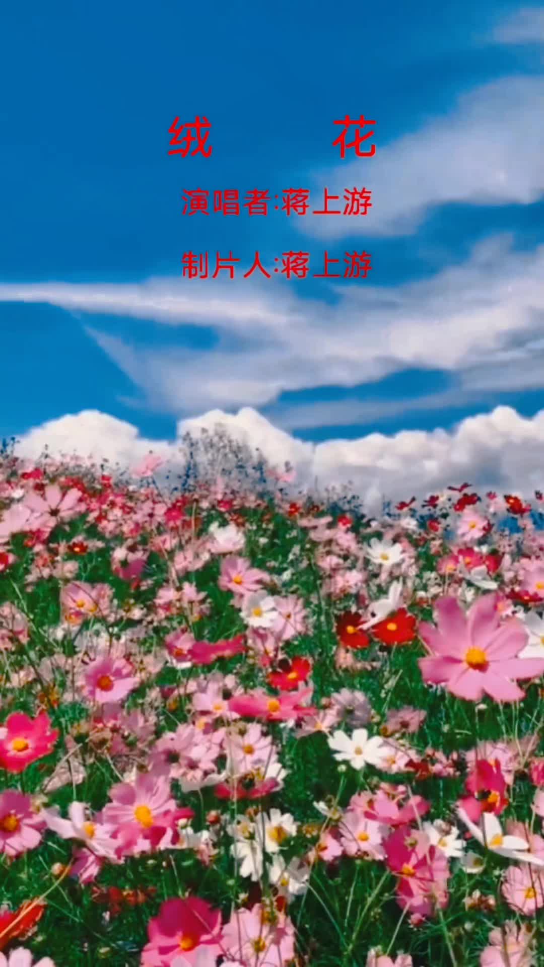 歌曲 《绒花》