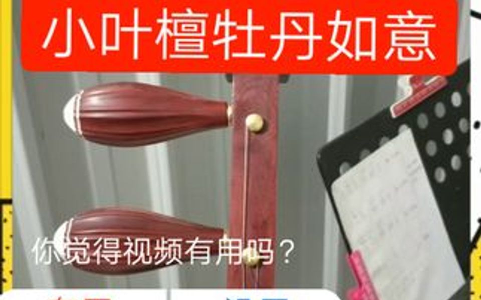 专业豫剧板胡哔哩哔哩bilibili