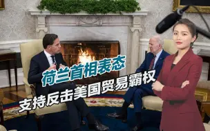 Download Video: 荷兰首相表态，支持反击美国贸易霸权，称要与法国站在一起