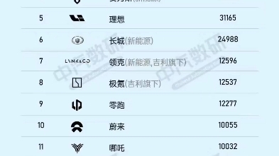 1月定语最少的新能源车销量排名,开卖不久的仰望和方程豹已经跻身前20了.哔哩哔哩bilibili