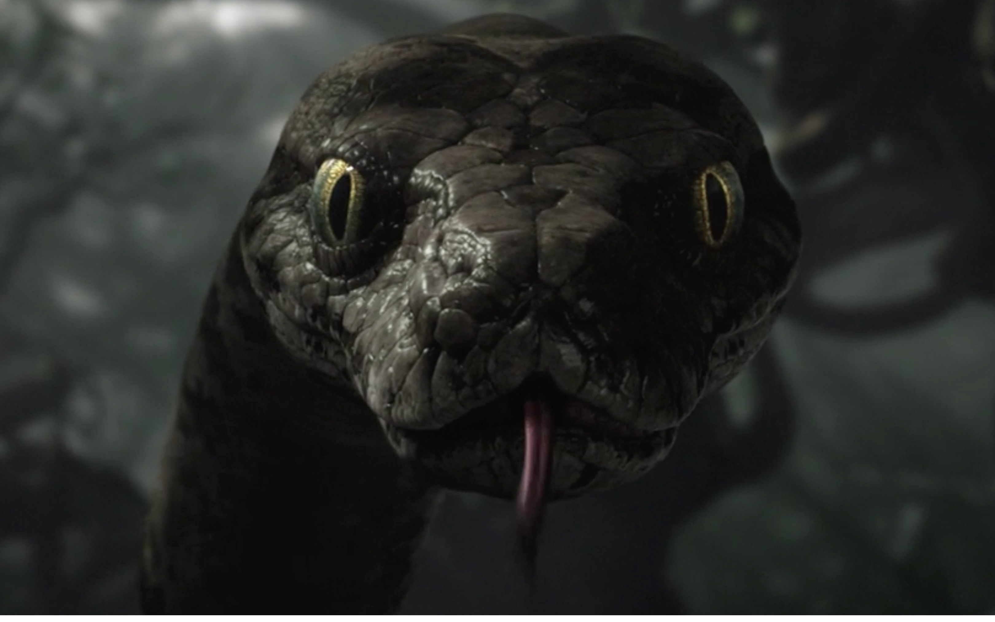 奇幻森林imax版特别预告小男孩毛克利遇见蟒蛇卡奥