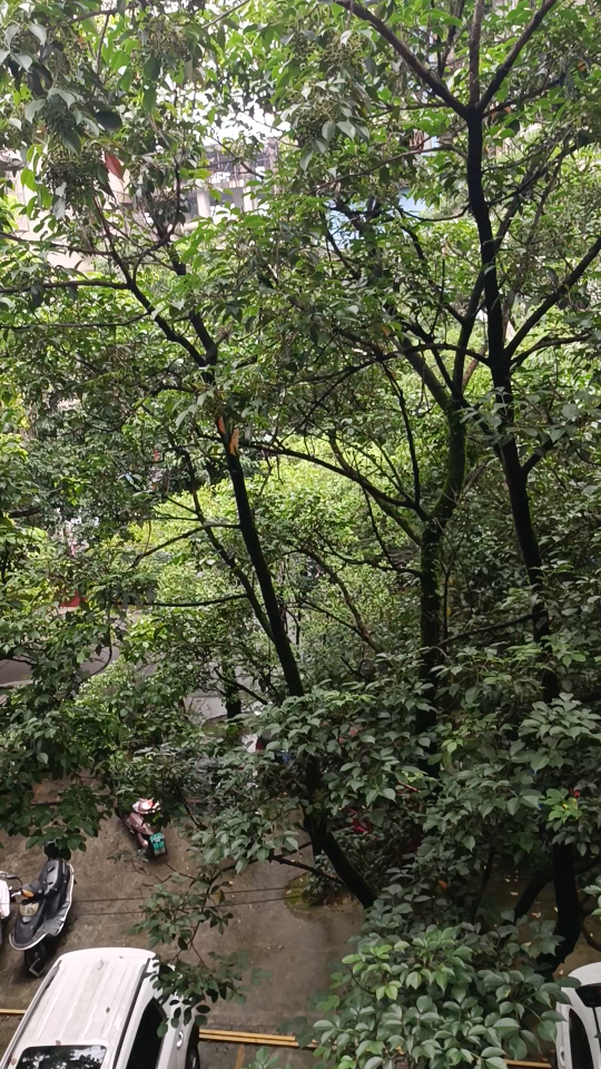 [图]雨季中的夏天