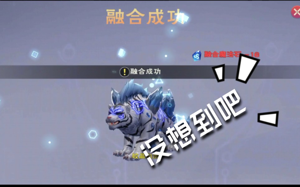 创造与魔法极品邪晶虎极品岩火剑齿虎王